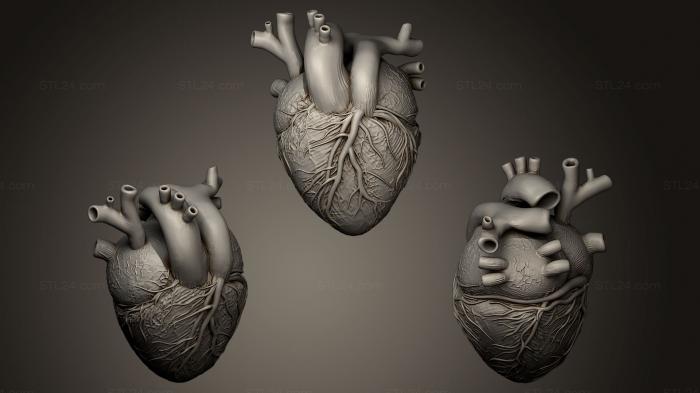 printready heart